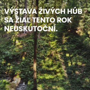 vystava huby 2026.jpg